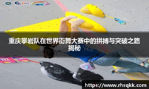 必博BIBO官方app
